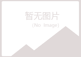 和政县夏青工程有限公司